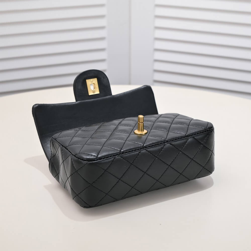 Chanel Mini Flap with Top Handle