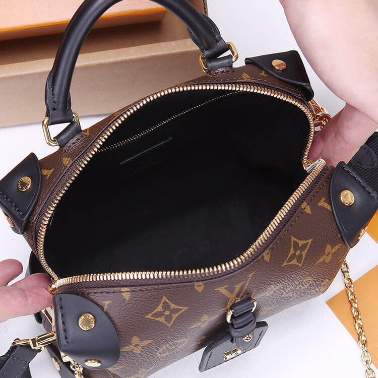 LV Petite Malle Souple Handbag