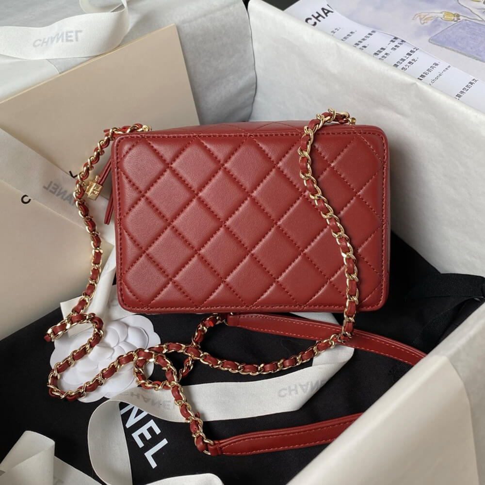 CHANEL CAMERA BAG
