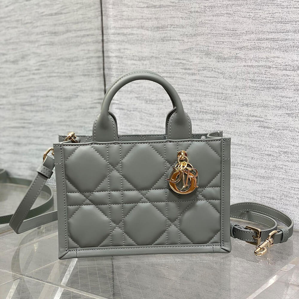 Mini Dior Book Tote
